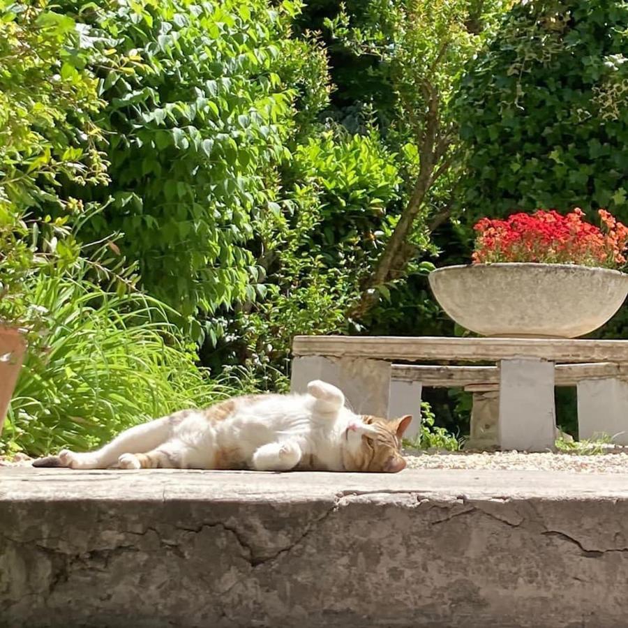 Il Giardino Nel Parco R&B Hotel Bologna Bagian luar foto